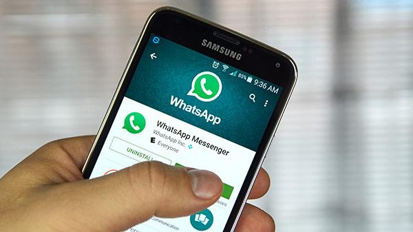 电脑whatsapp怎么加好友、whatsapp电脑版怎么视频聊天