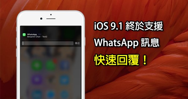 苹果whatsapp下载安装后为什么不能用、苹果whatsapp下载安装后为什么不能用了