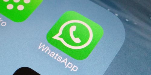 whatsapp下载安卓官网，whatsapp下载安卓最新版本