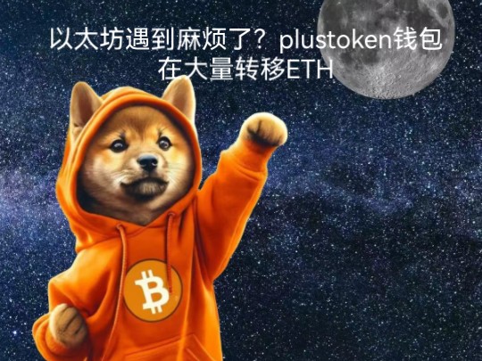 pluetoken钱包，plous token钱包