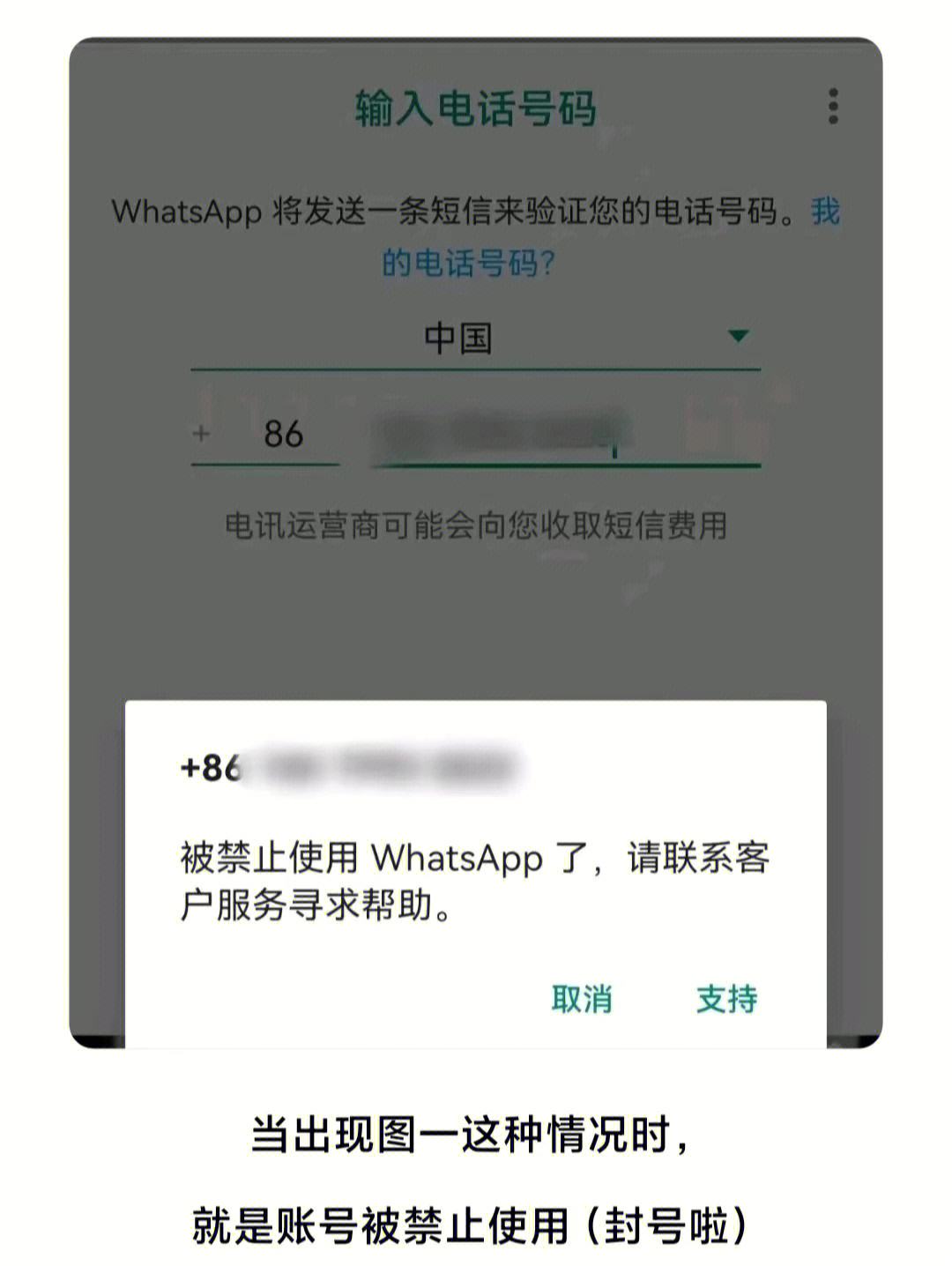 手机下载whatsapp不能用，为什么下载了whatsapp用不了