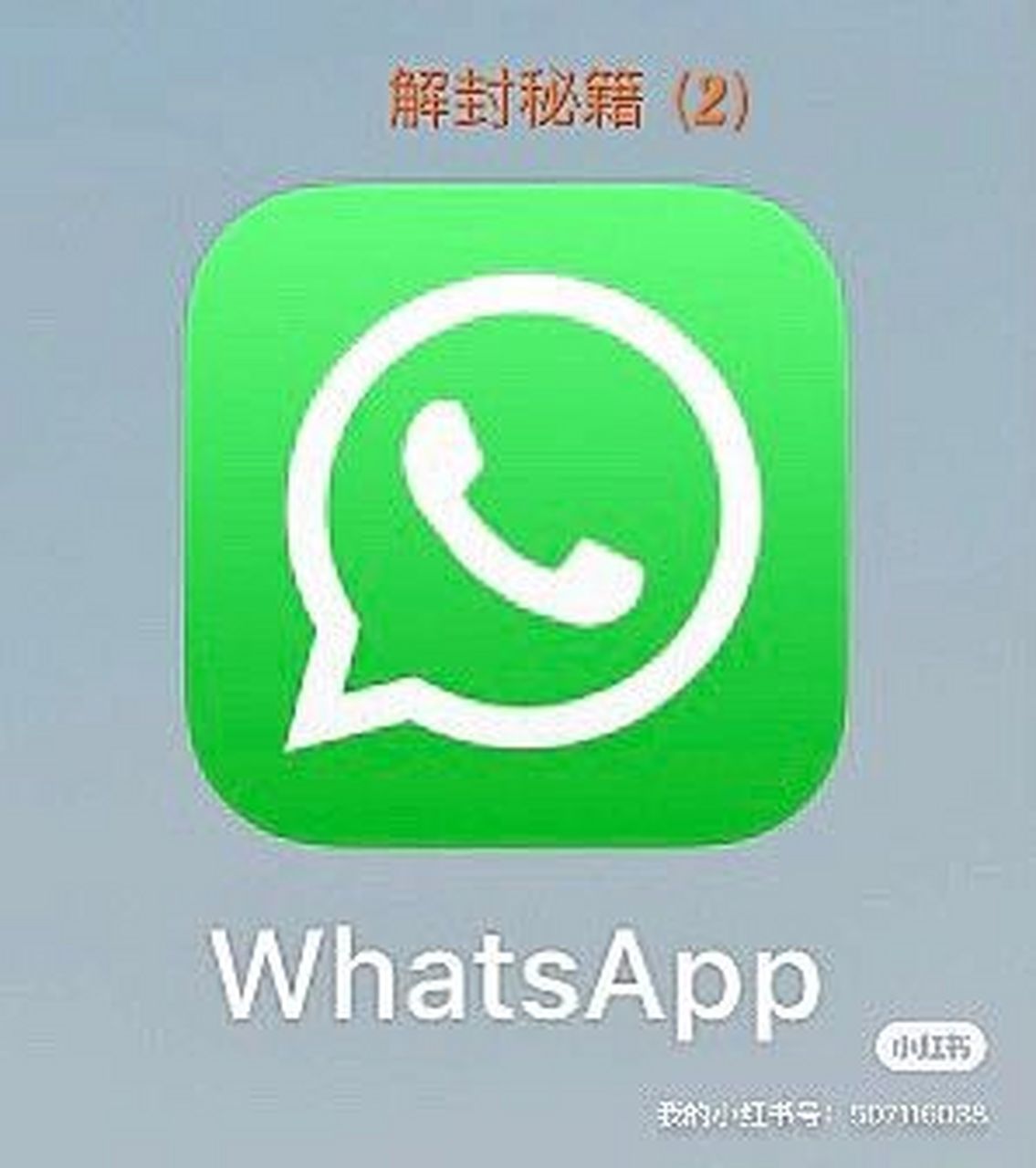 whatsapp官方网下载中文版，whatsapp官方网下载最新版2021