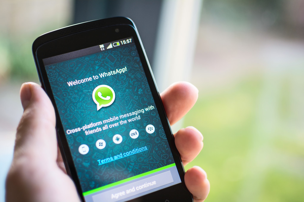 whatsapp下载安卓版本，whatsapp安卓新版免费下载