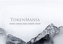 tokenmania官网，tiktokshop跨境官网