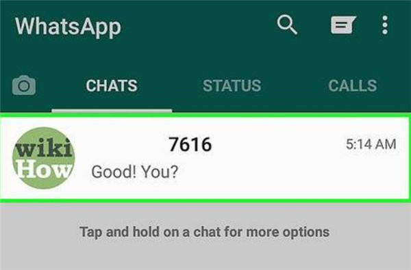 whatsapp下载apk，印尼聊天软件WHATSAPP下载