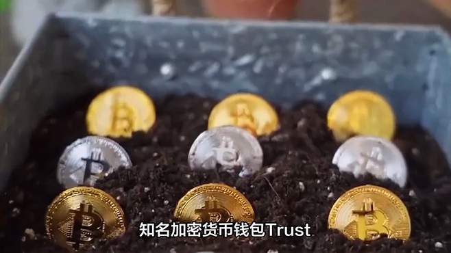 Trust加密货币钱包合法吗的简单介绍