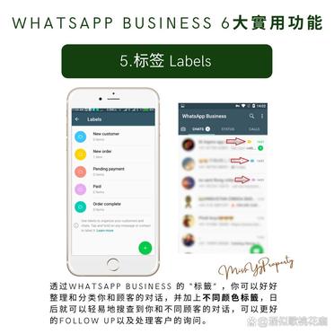 whatsappbusiness官网，whatsappbusiness官网入口