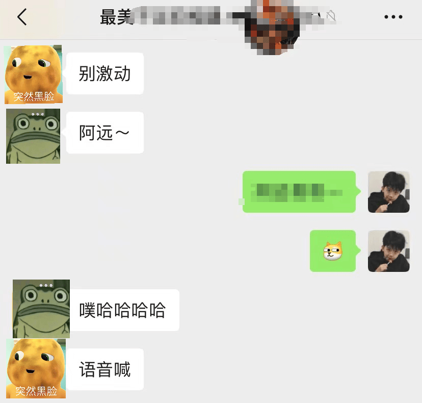 关于telegeram聊天群的信息