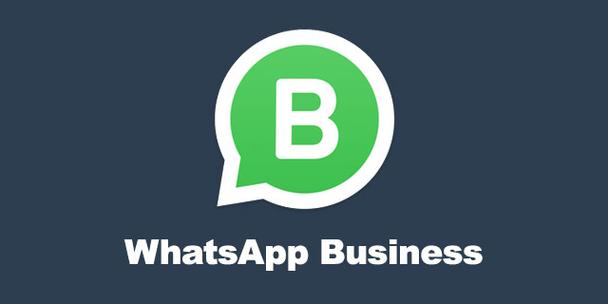 关于whatsapp下载最新版2021的信息