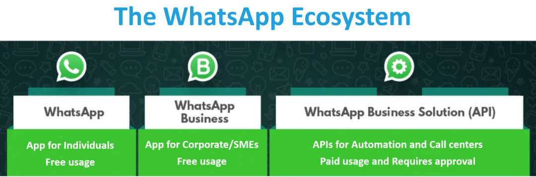 WhatsApp官网网址，whatsapp官网手机版 app