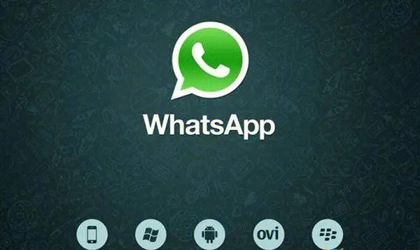 whatsapp最新版本下载2024，whatsapp最新版本下载2024ios