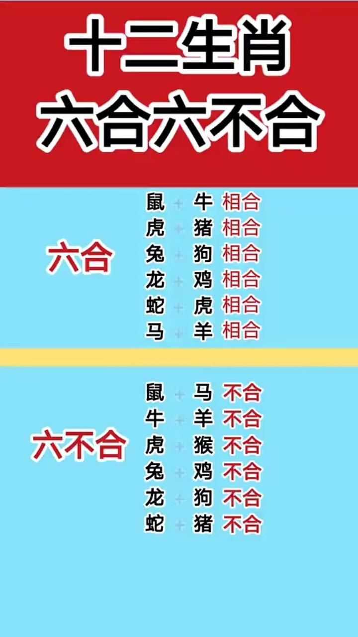 6合生肖是哪六个动物:6合生肖是哪六个动物生肖