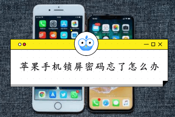 iphone钱包密码忘了怎么办:苹果手机钱包密码忘了手机打不开了