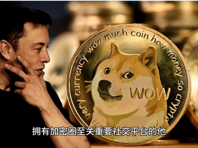 meme币价格今日行情:2000块炒币赚了8千万