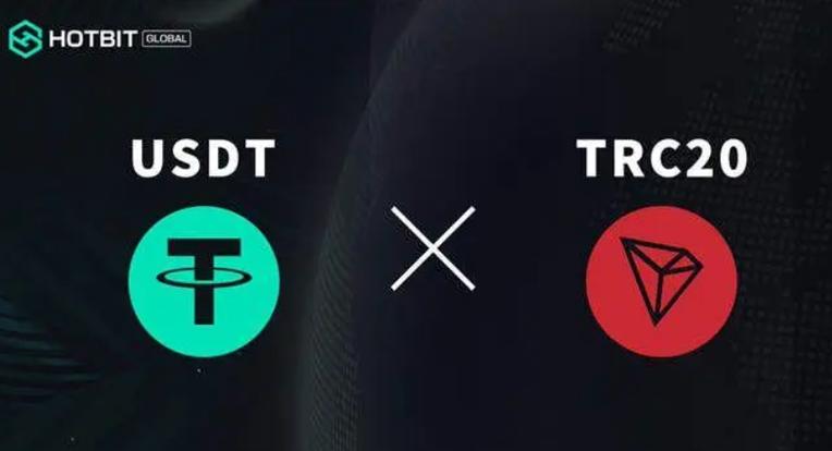 TRC20区块链浏览器查询：了解TRON网络上的代币交易与持有情况