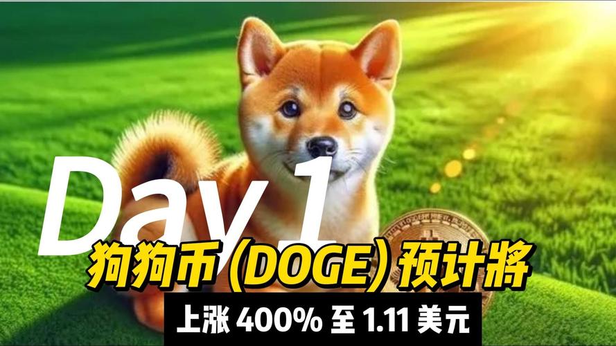 柴犬币未来能涨到一元吗:柴犬币未来能涨到一元吗视频