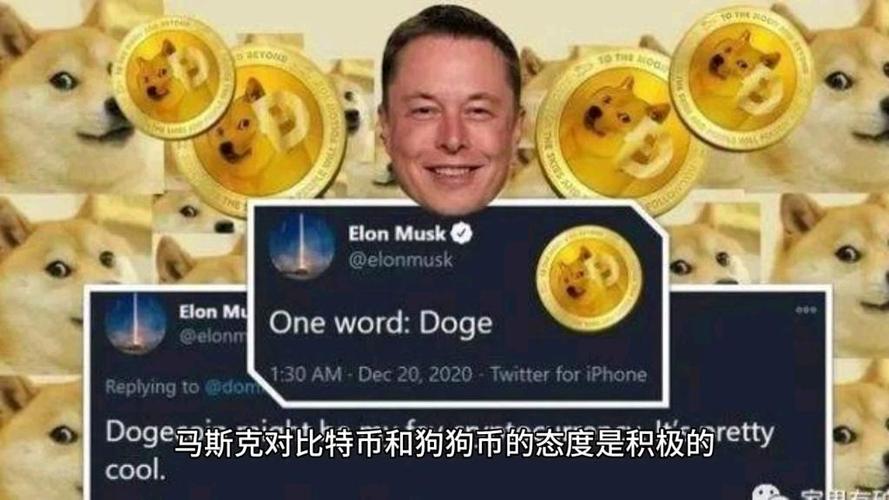 马斯克支持狗狗币未来展望及挑战分析