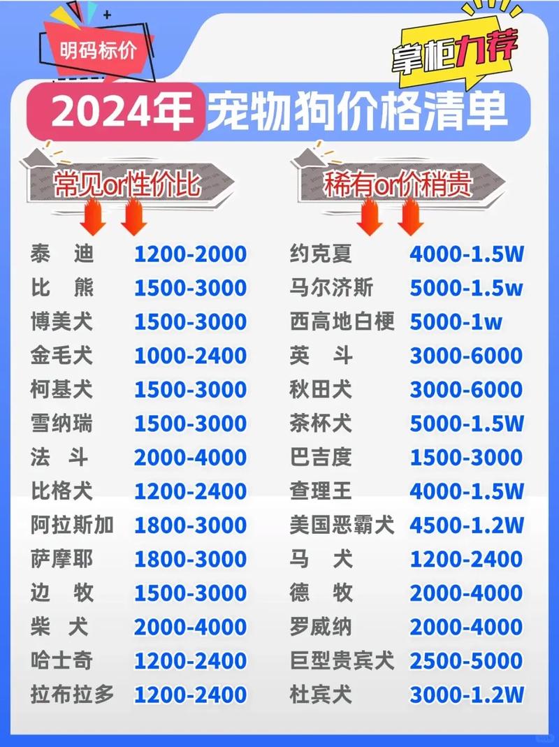 狗狗币今日最新价格是多少:狗狗币今日最新价格多少美元