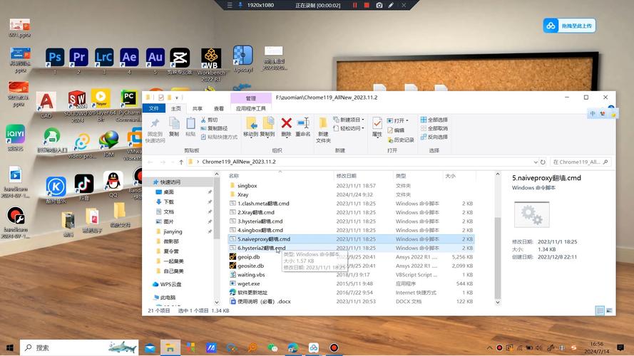 谷歌浏览器官方下载PC：稳定快速、简洁易用的网络浏览利器
