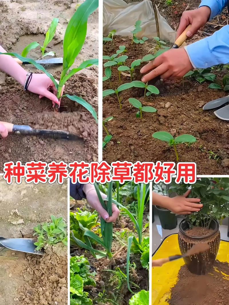 园艺铲子材料制作及选择指南