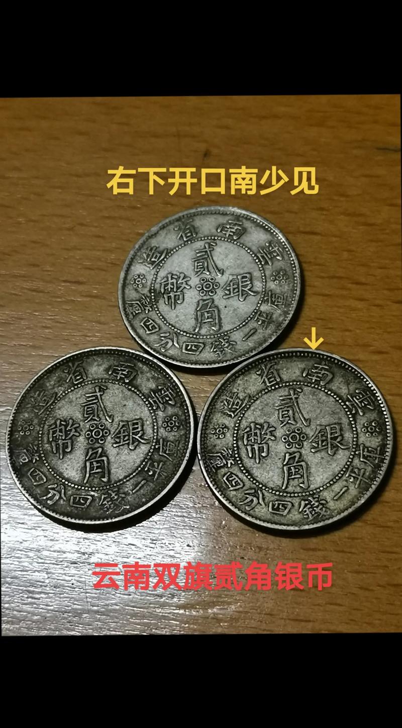 wolf是什么币:woofy币是什么币