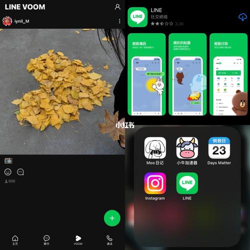 lineapp安卓版:line app for android