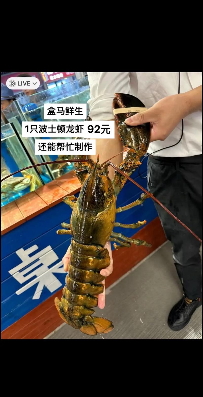 波龙价格多少钱一斤:波龙虾现在多少钱一斤