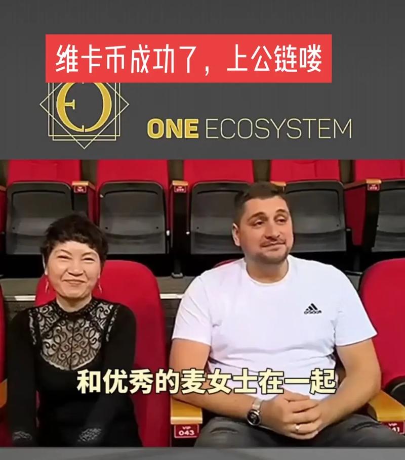 维卡币终于成功了:维卡币终于成功了欧元