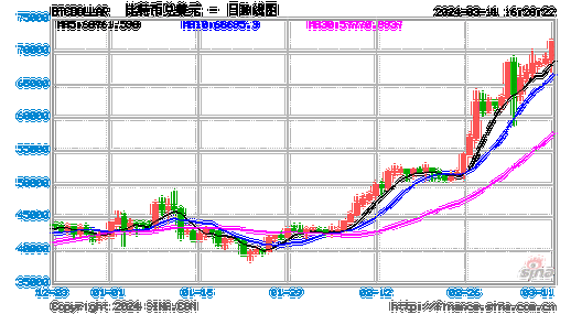 2010年比特币价格走势分析：从几美分到金融革命的开端