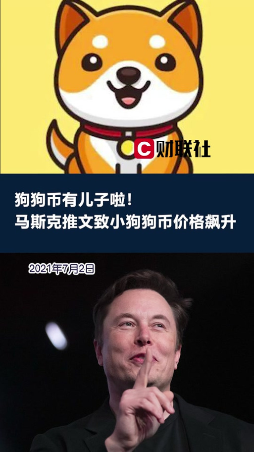 狗狗币与马斯克火箭的未来：投资机会与发展展望