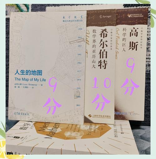 数学家卡尔达诺传记书：探索概率与代数的伟大思想家