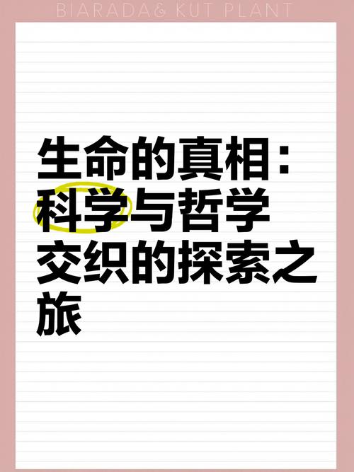 揭开马约拉纳消失之谜：科学与哲学的交织