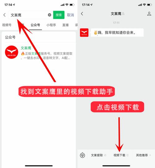 tg下载的视频在什么位置的简单介绍