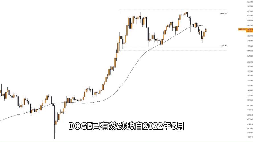 狗狗币最新行情走势图解读与投资策略分析