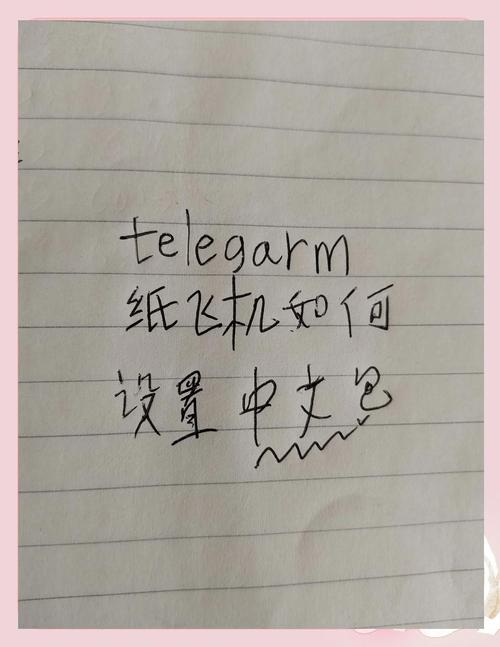 纸飞机中文语音包教程:纸飞机语言怎么转化成中文