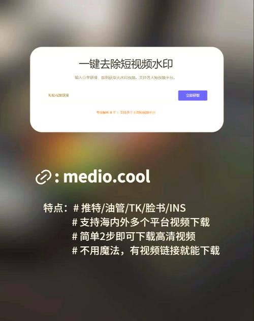 Telegram缓存文件找不到？解决方案与管理技巧大揭秘