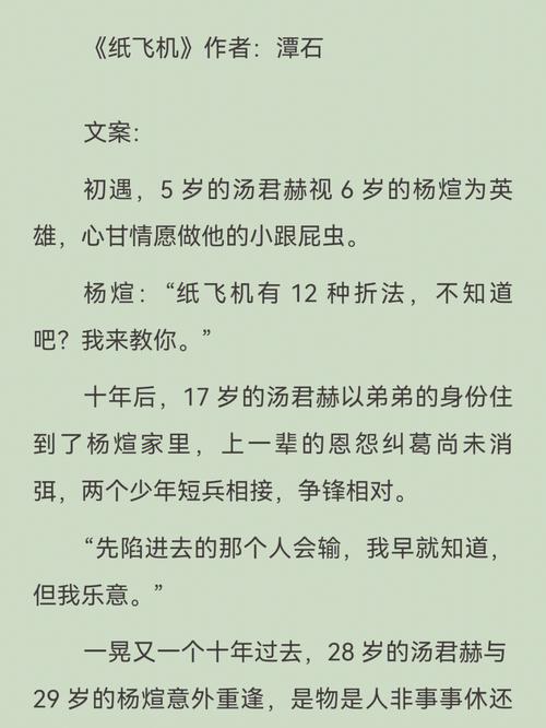纸飞机by潭石未删减全文阅读：梦想与友谊的飞翔旅程