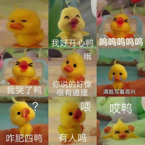小黄鸭pk法斗:小黄鸭打架表情包