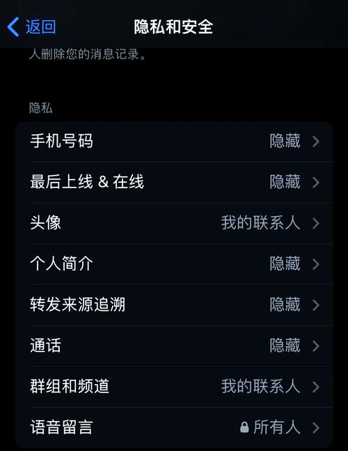 黑色纸飞机 Telegram：高效安全的即时通讯工具使用指南