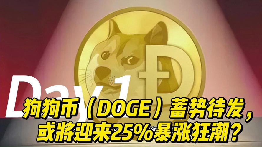 狗狗币未来10年估值:狗狗币未来的升值空间大吗