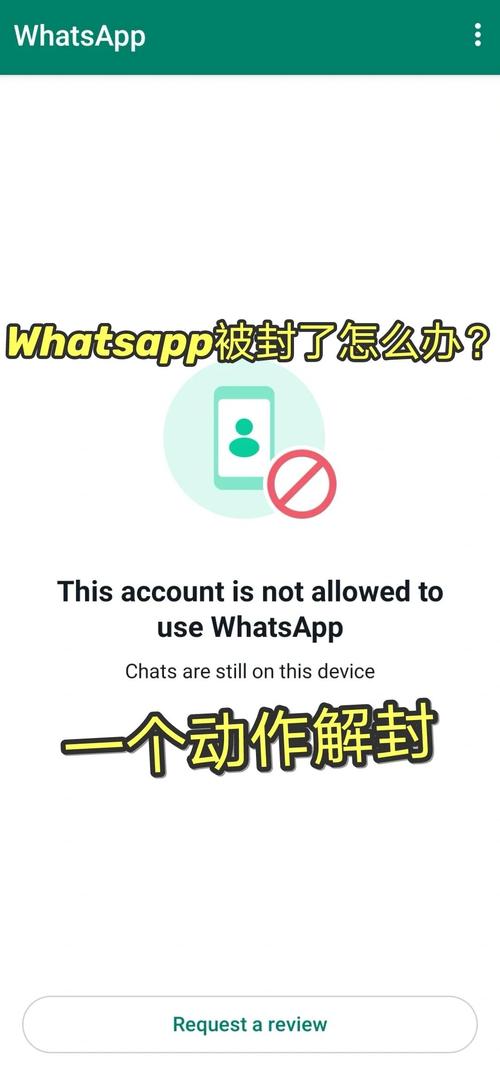 whatsapp被禁止发消息:whatsapp被禁用怎么解开