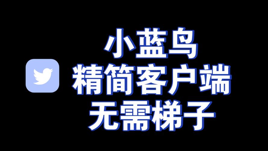 小蓝鸟梯子推荐：安全、轻便、耐用的理想选择