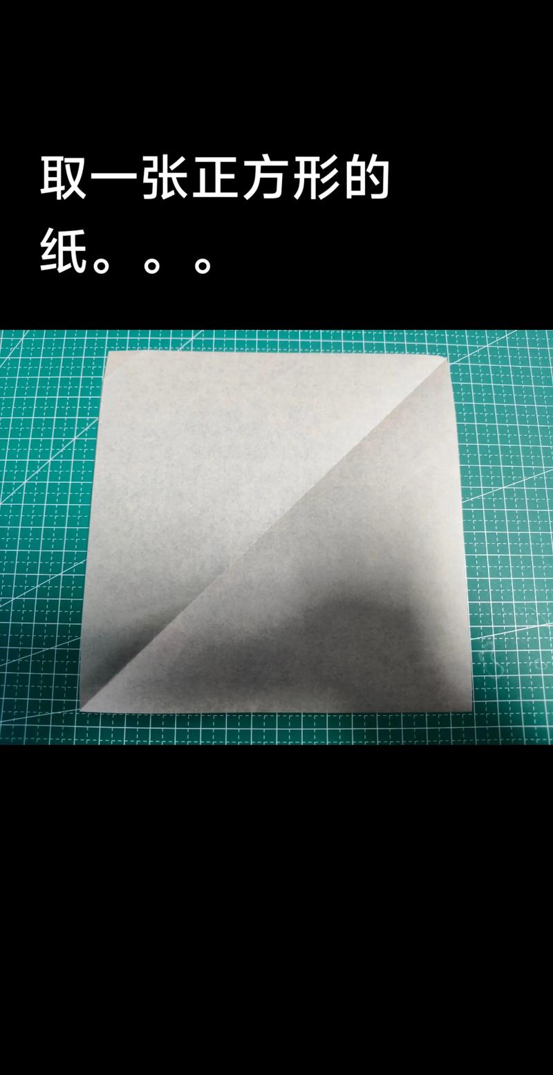 纸飞机网站地址,纸飞机是什么网站