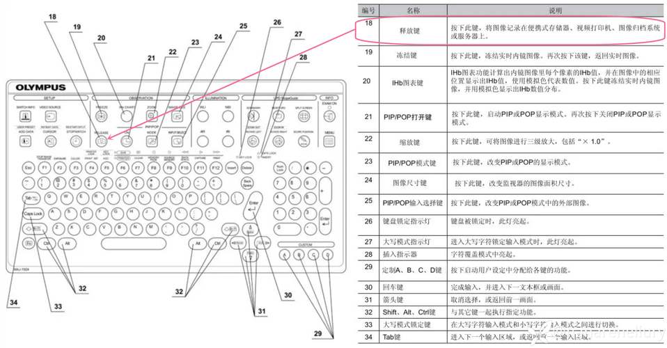 telescopes加速器的简单介绍