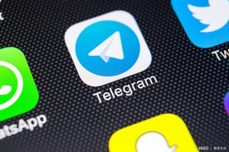 telegraph,telegraph安卓版下载
