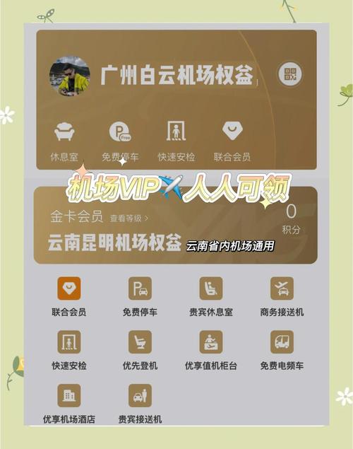 飞机账号自助购买平台,飞机账号自助购买平台有哪些