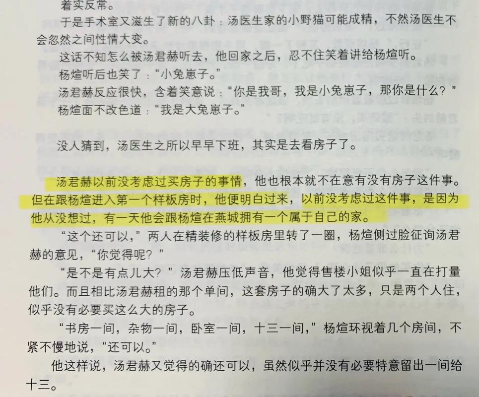 关于纸飞机小说免费阅读无广告无弹窗的信息