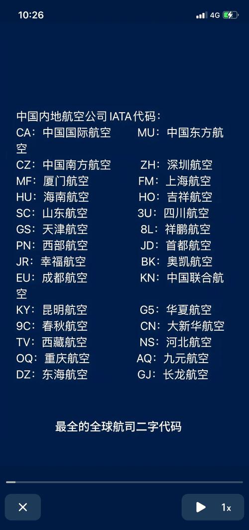 纸飞机中文代码,纸飞机换中文指令