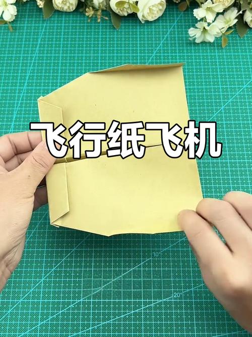 纸飞机能用账号和密码直接登录吗,纸飞机能用账号和密码直接登录吗安全吗