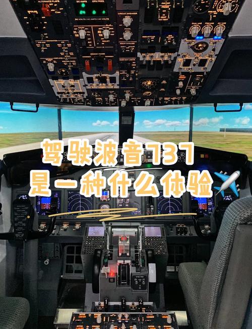 飞机怎么设置自动翻译,飞机怎么设置自动翻译功能